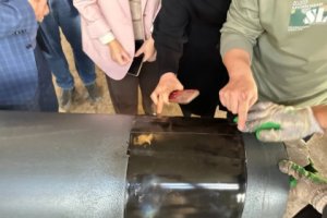 The actual application of Huashida heat shrink tape in municipal drainage pipes